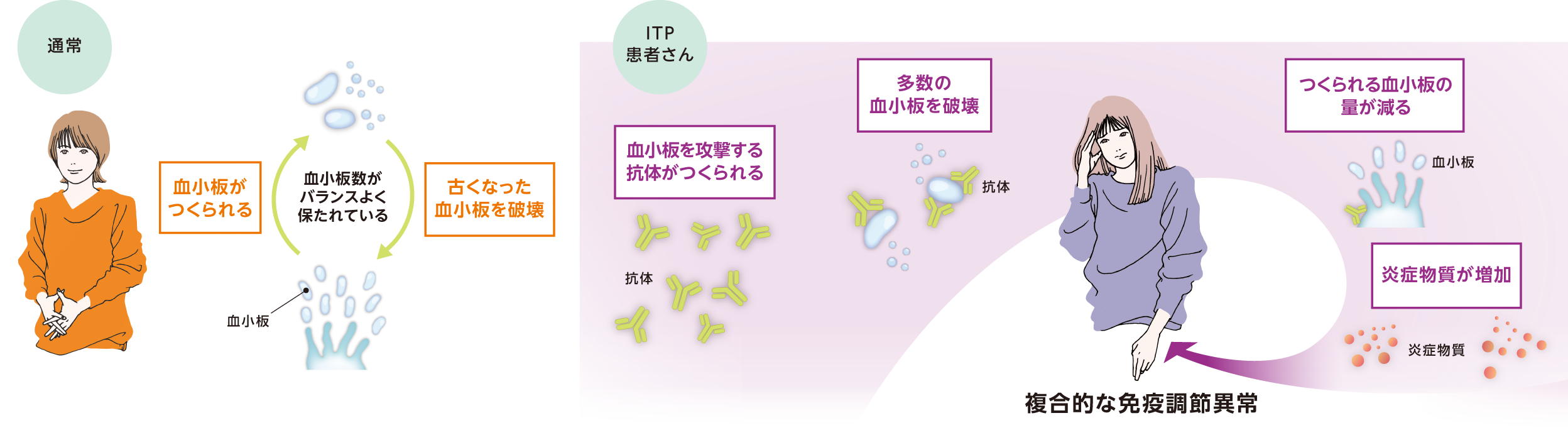 通常、ITP患者さんイラスト